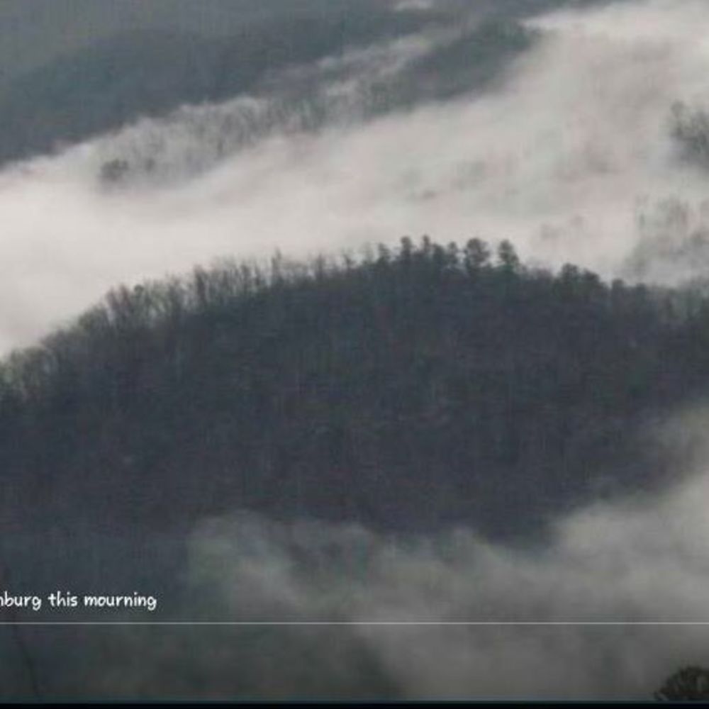 Meet your Posher, Teresa